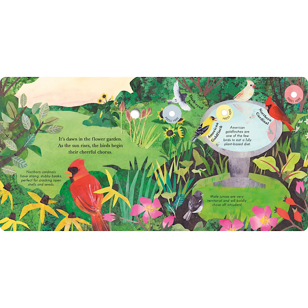 Songs of the Birds Hardcover Book