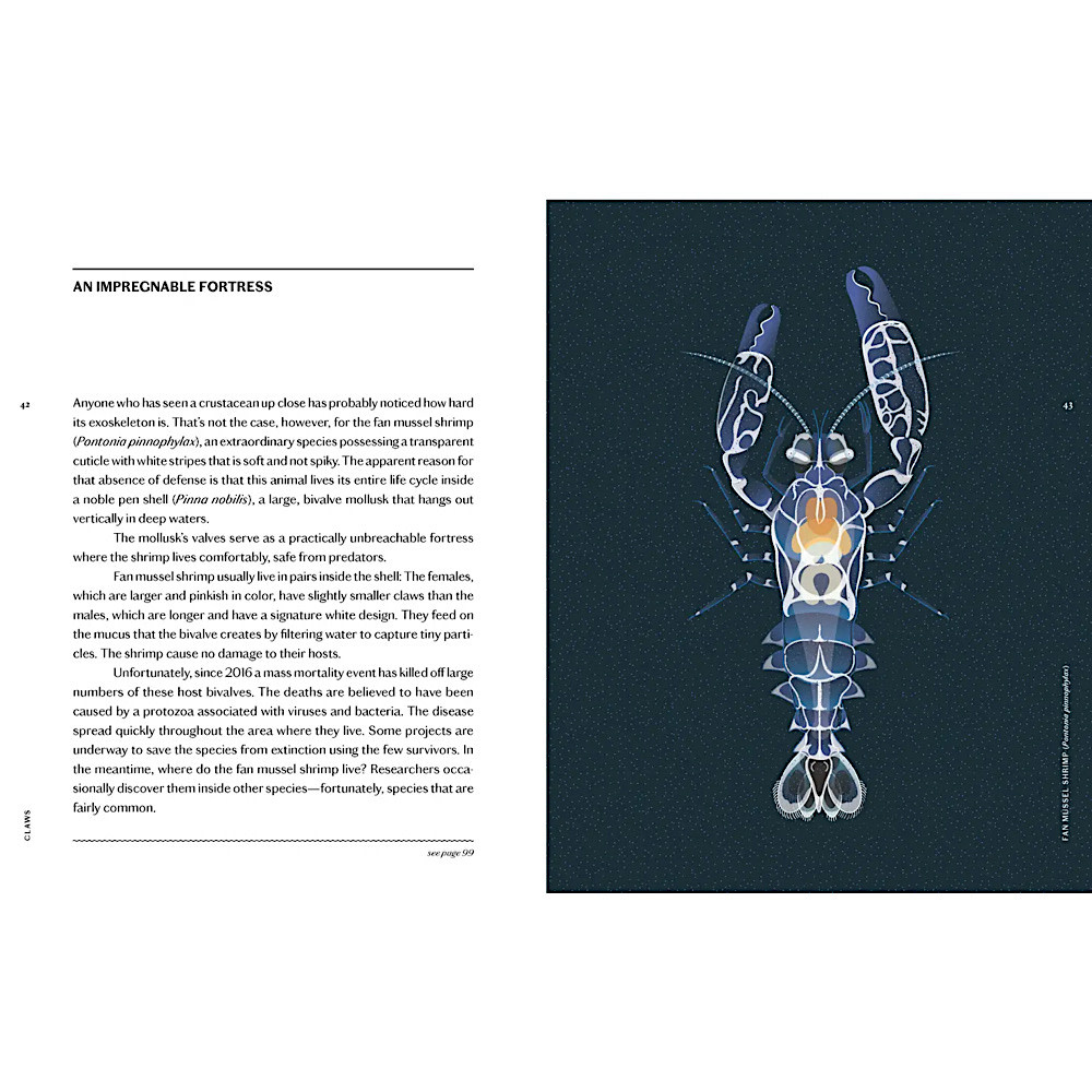Claws Hardcover Book