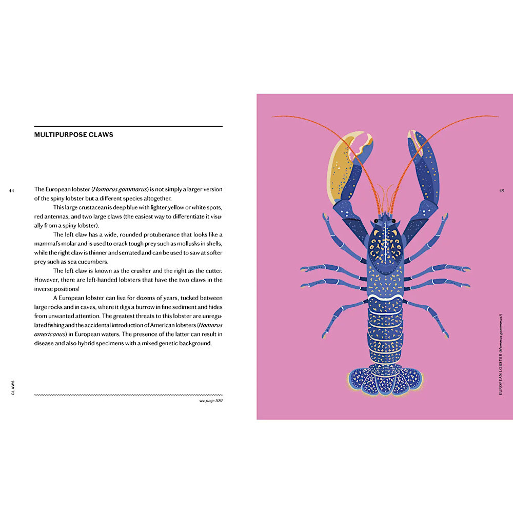 Claws Hardcover Book