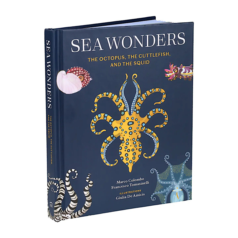 Sea Wonders Hardcover Book