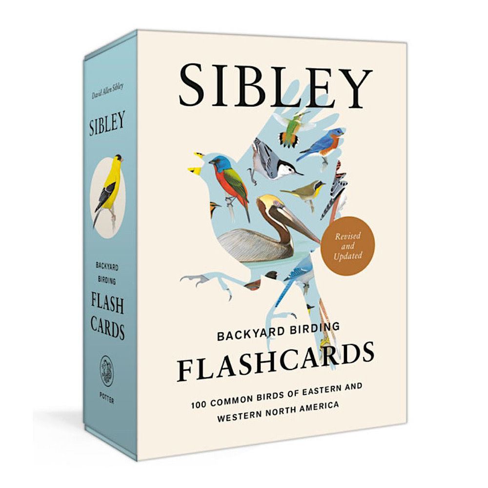 Penguin Random House Sibley Backyard Birding Flashcards