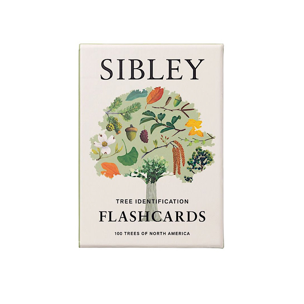Sibley Tree ID Flashcards