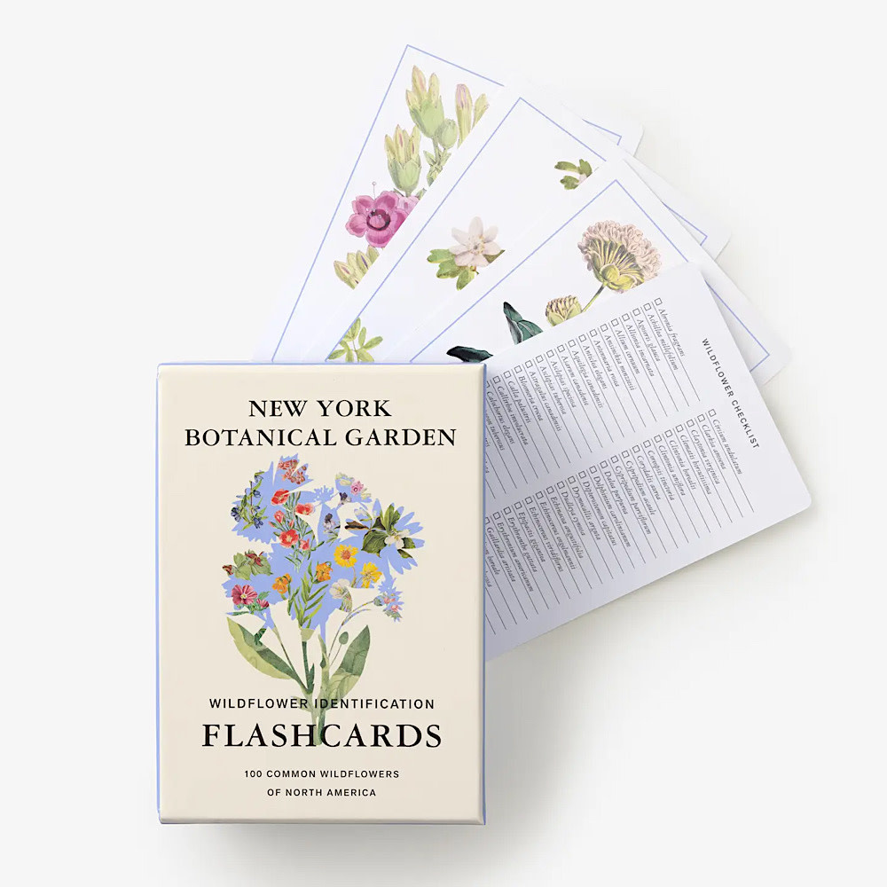 NY Botanical Garden Wildflower ID Flashcards