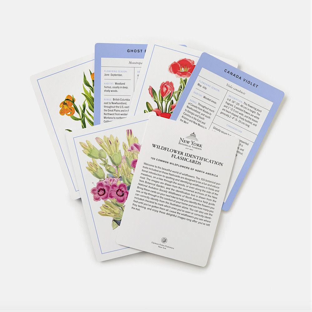 NY Botanical Garden Wildflower ID Flashcards