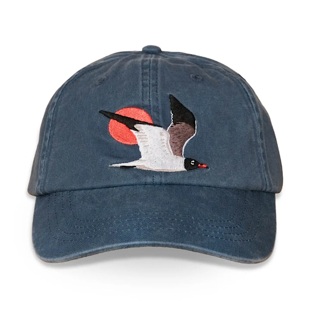 Bird Collective Baseball Hat - Laughing Gull