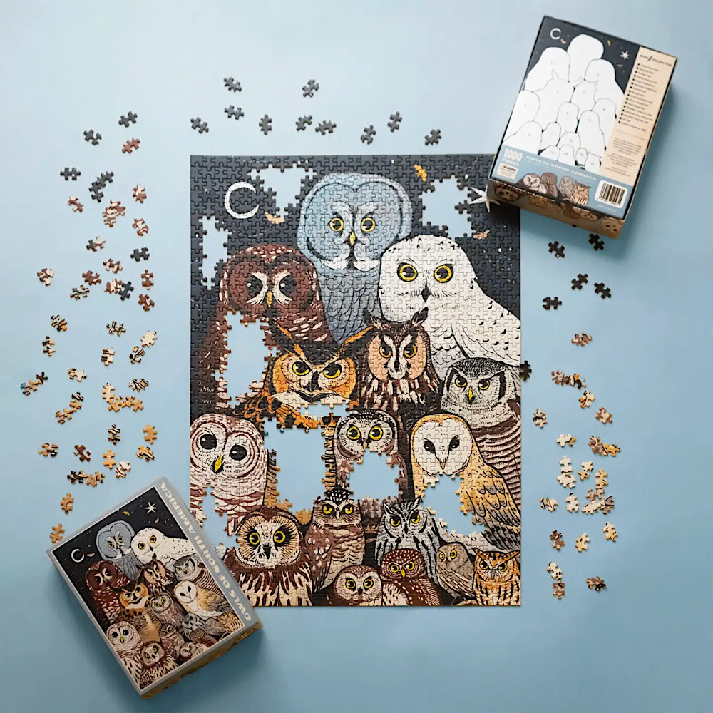 Bird Collective 1000 Piece Puzzle - Owls of North America