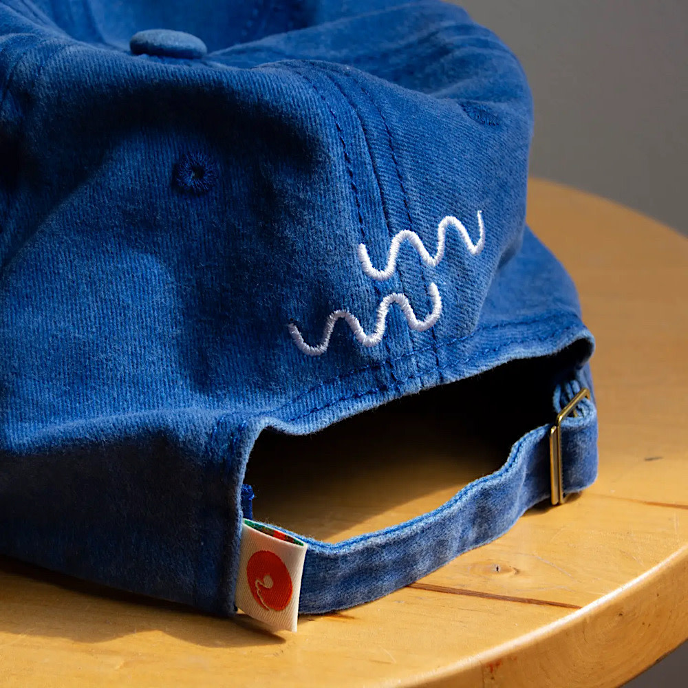 Curlworks Hat - Fish