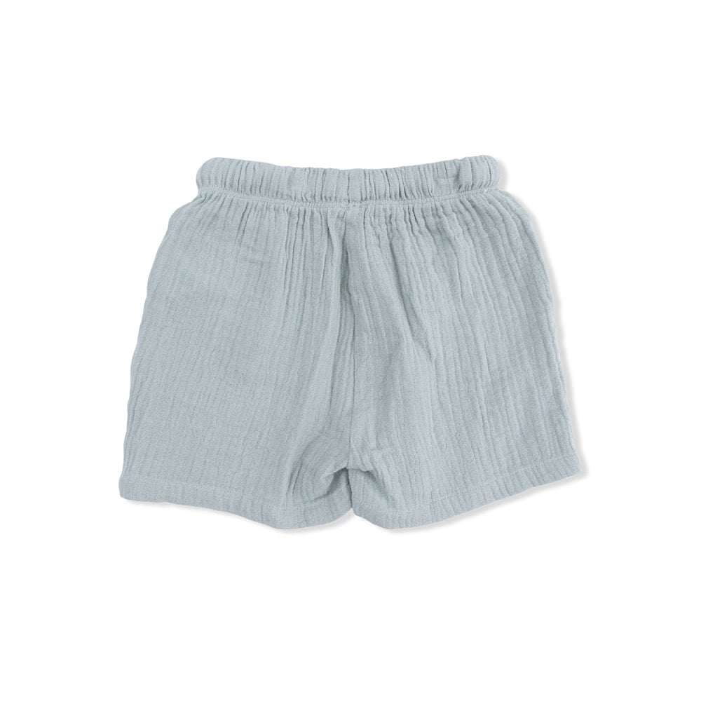 Angel Dear Polo with Casual Shorts - Sea Turtles