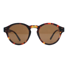 Jaxy Eyewear Polarized Sunglasses Sunset Theory - Tortoise
