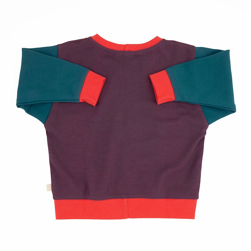 Peace House Studio Baby Sweatshirt - Colorblock Grape