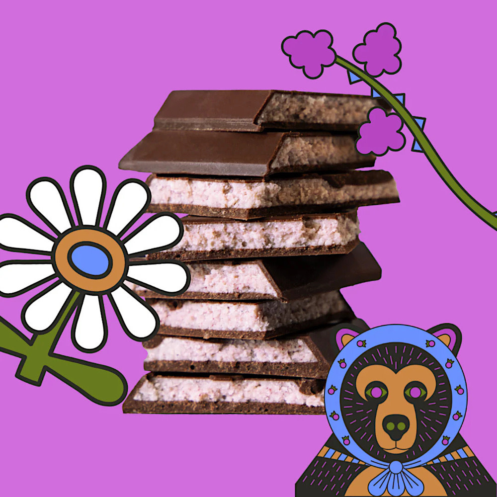 Maeve Dark Chocolate Truffle Bar - Hungry Blackberry