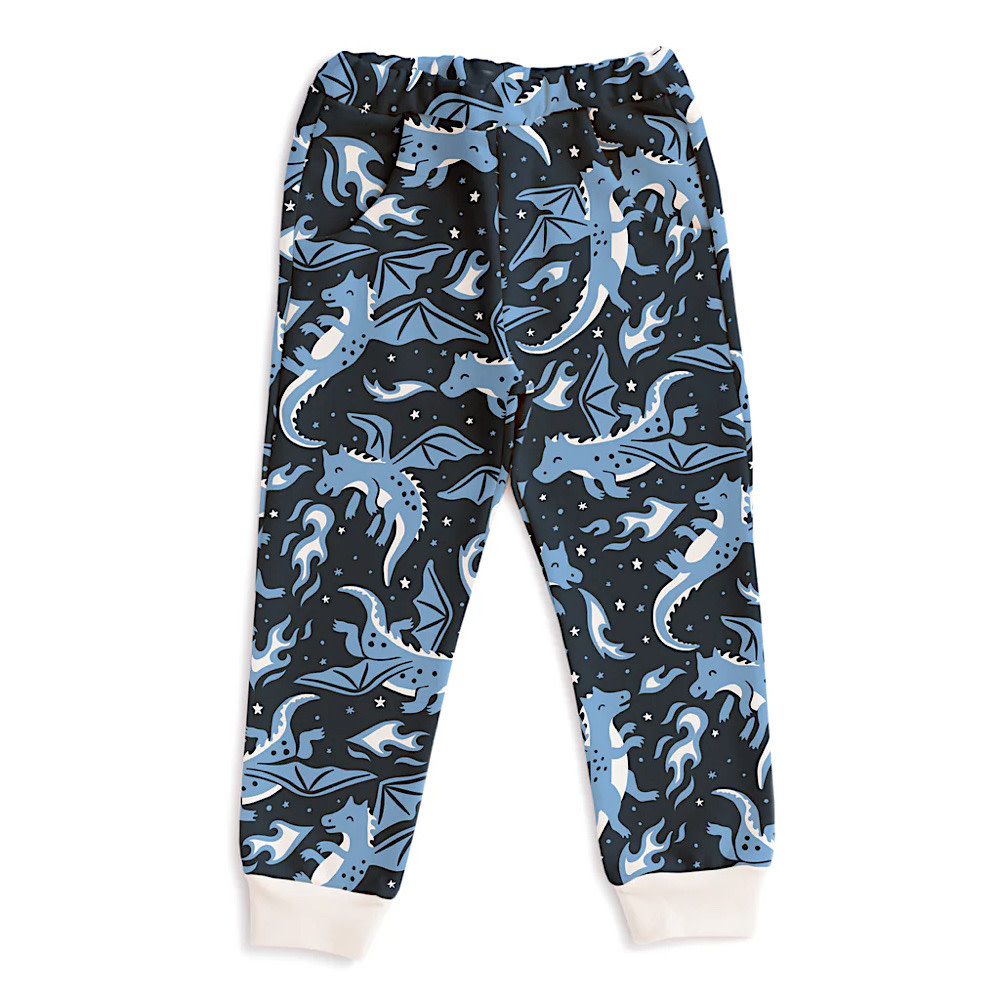 Winter Water Factory Sweatpants - Dragons Navy