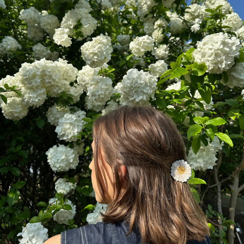 Solar Eclipse Mini Claw Hair Clip - Daisy