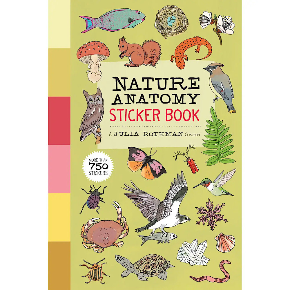 Hachette Nature Anatomy Sticker Book
