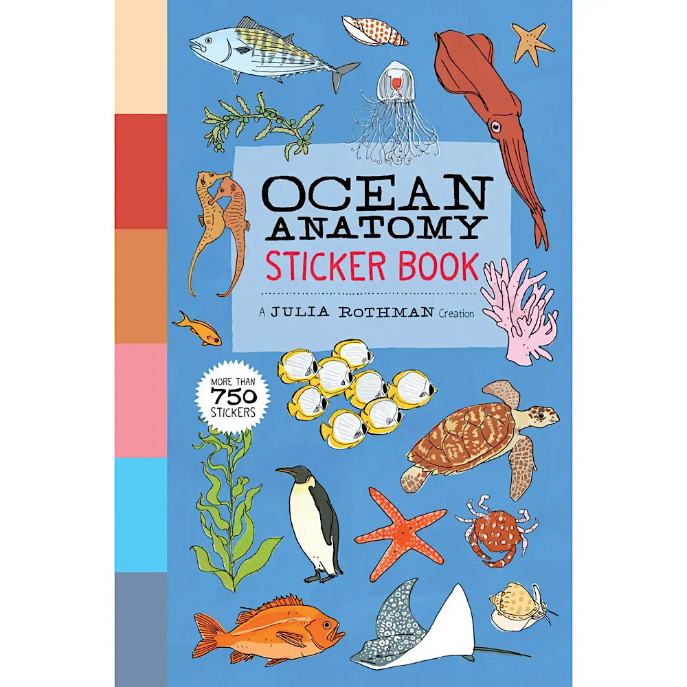 Hachette Ocean Anatomy Sticker Book