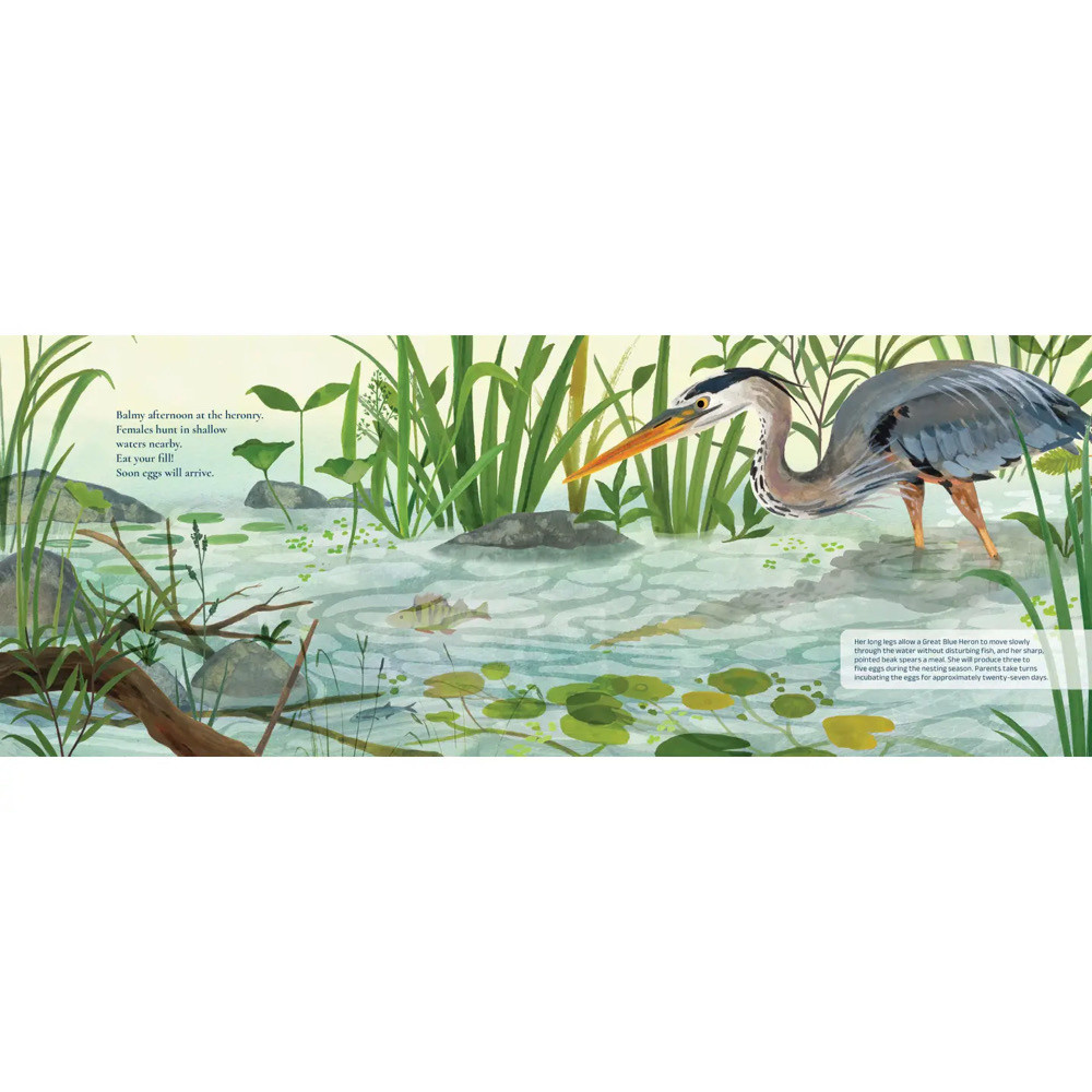 Heronry Hardcover Book
