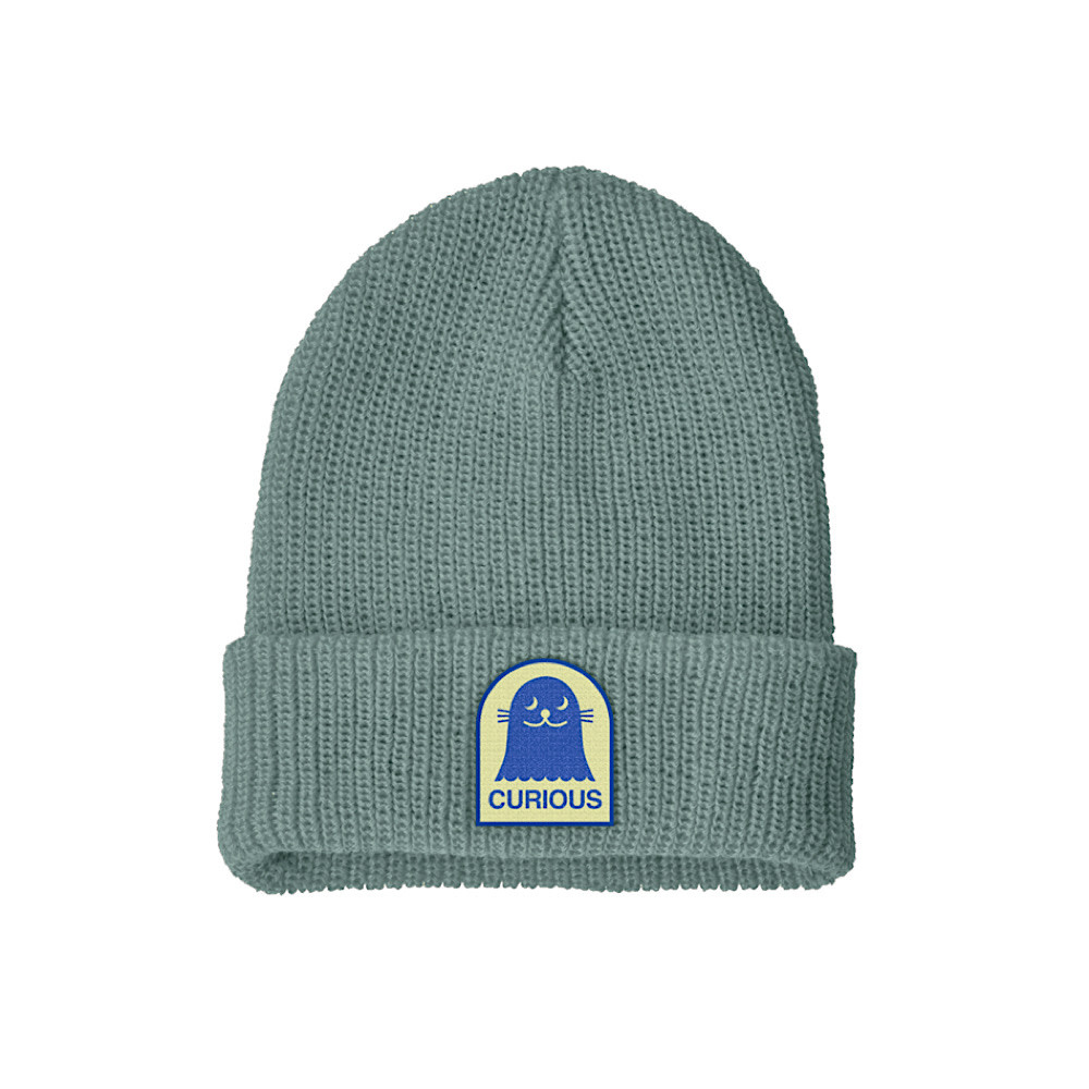Patagonia Patagonia - Baby Logo Beanie - Curious Seal Patch: Cover Green
