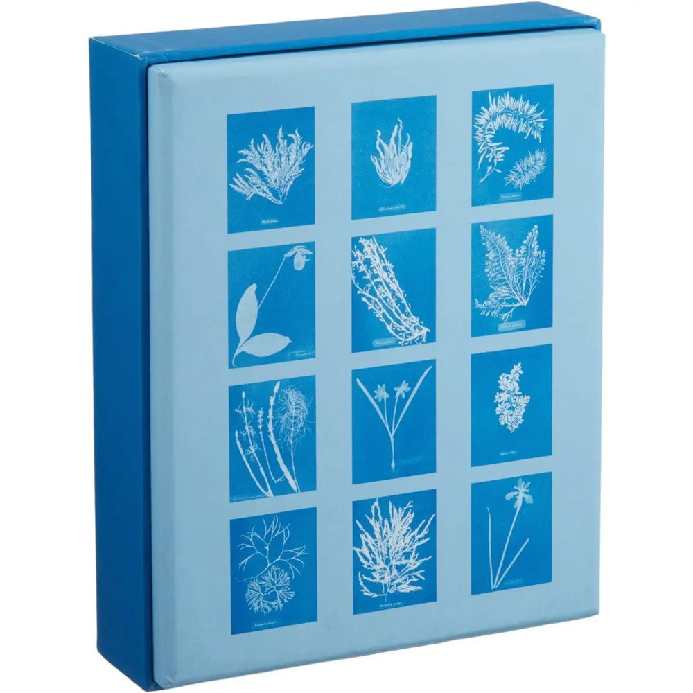 Sunprint Notecards