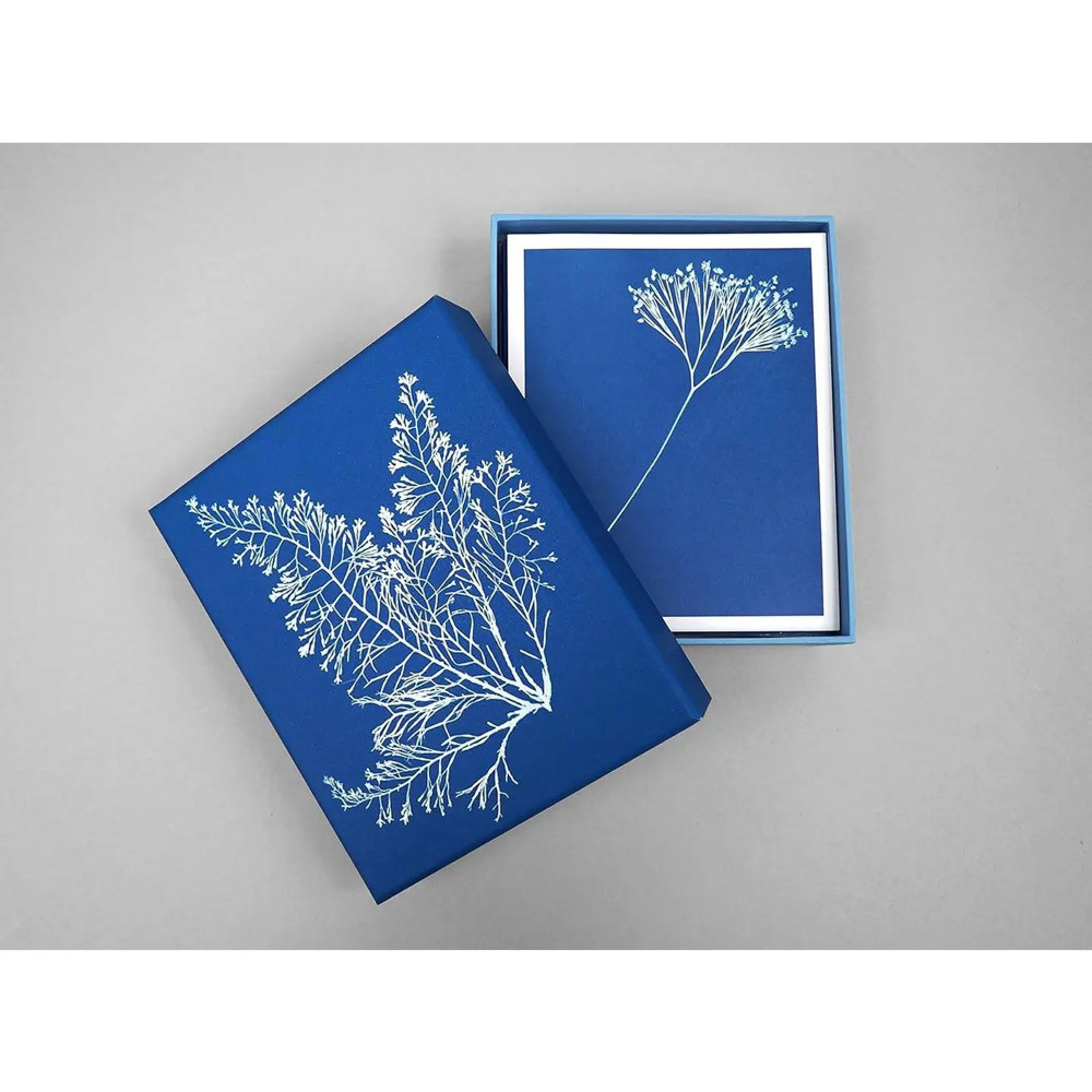 Sunprint Notecards