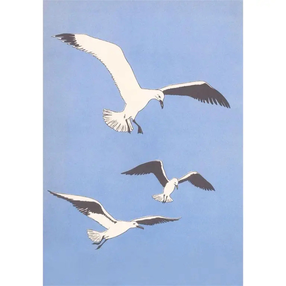  Postcard TS-387 - Seagulls