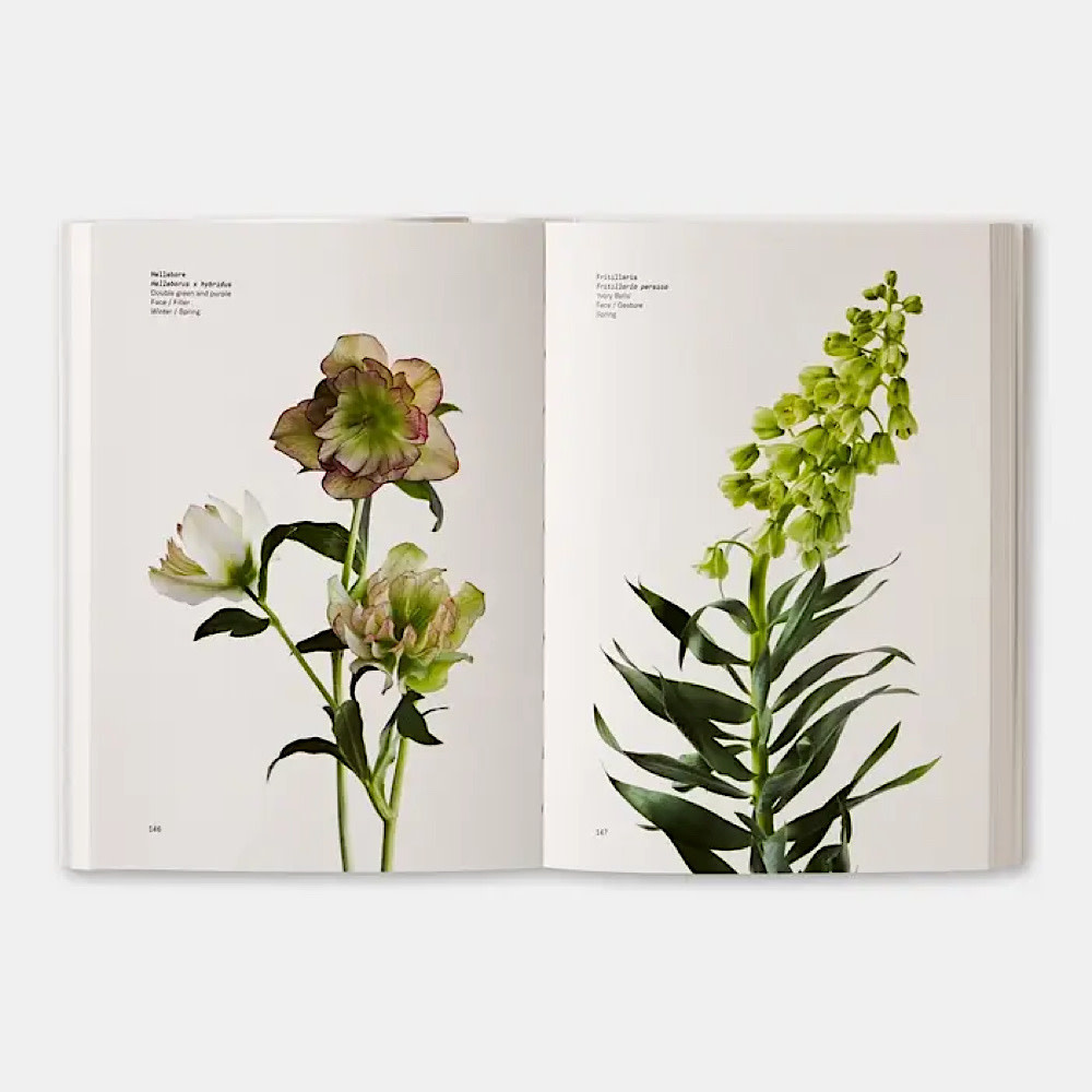 Flower Color Guide Paperback Book