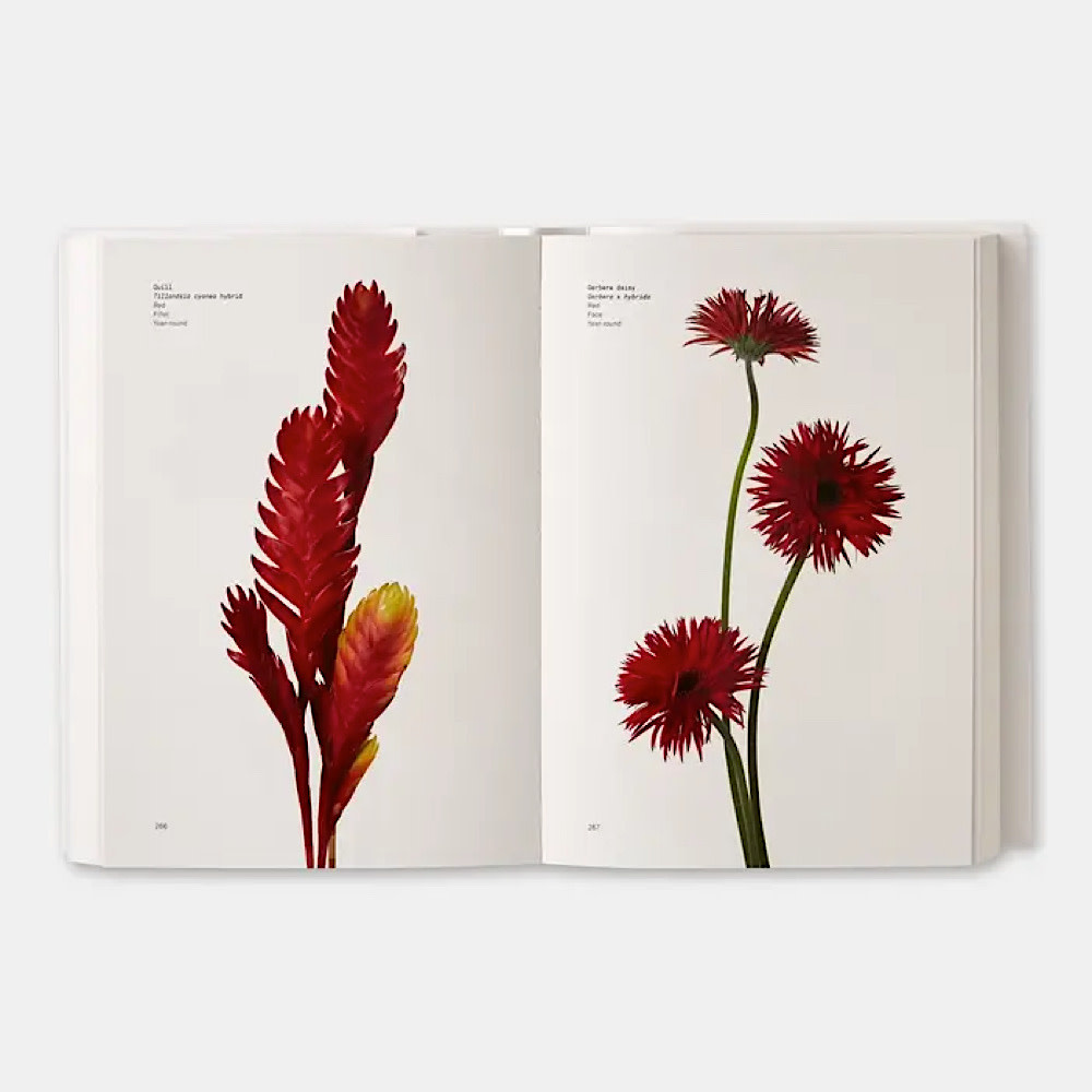 Flower Color Guide Paperback Book