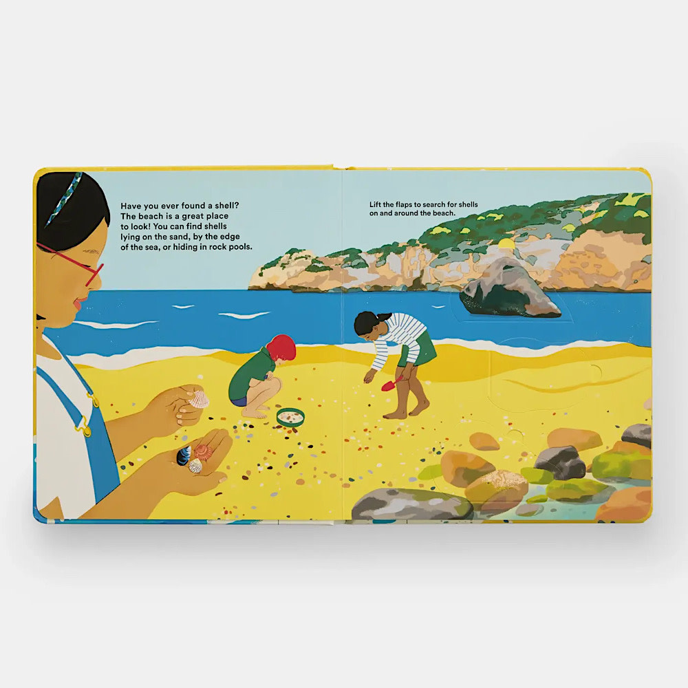 Shells... and What They Hide Inside Board Book