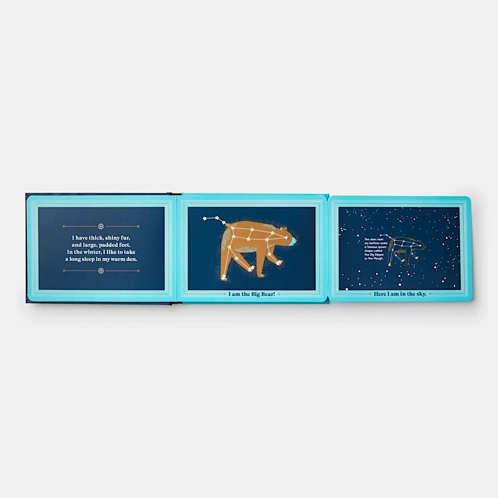 Animals in the Sky Board Book
