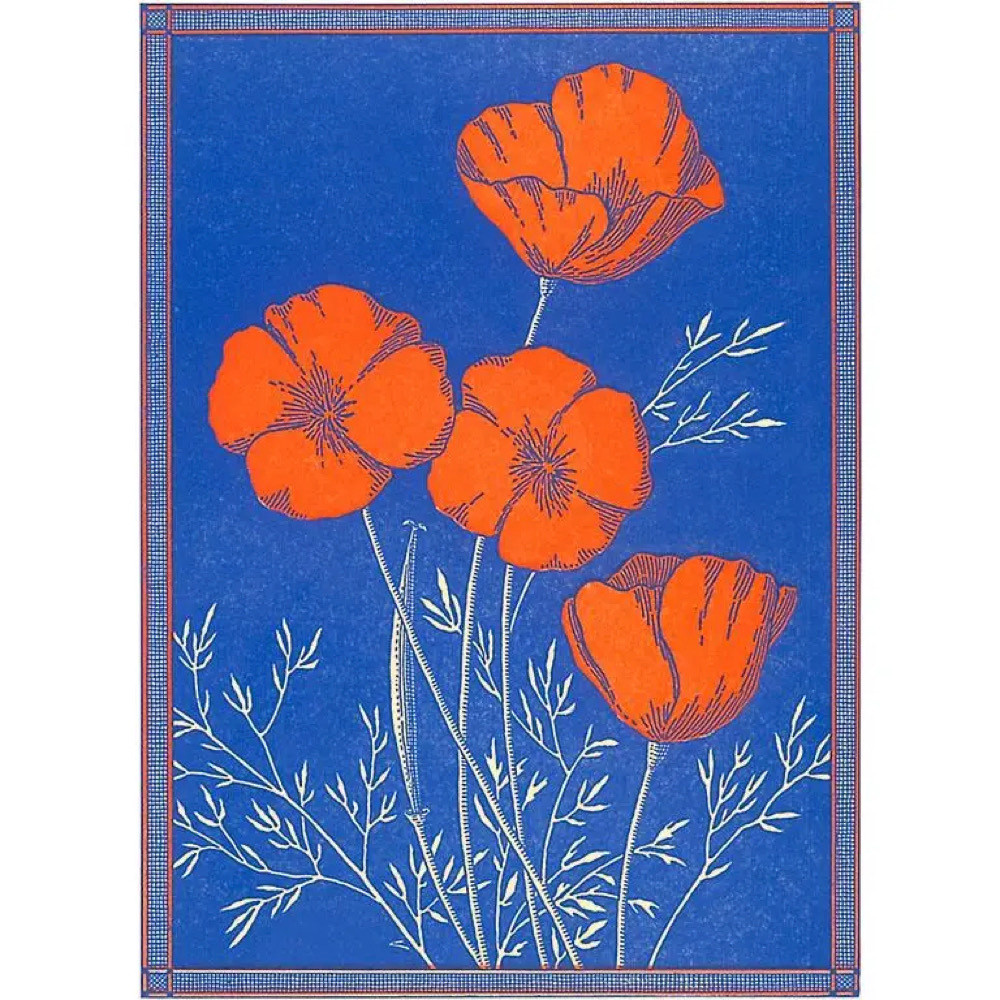  Postcard CA-1427 - Poppies