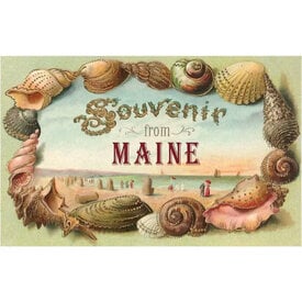  Postcard ME-361 - Souvenir from Maine Shells