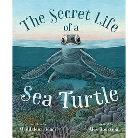 Macmillan Secret Life of A Sea Turtle Hardcover Book