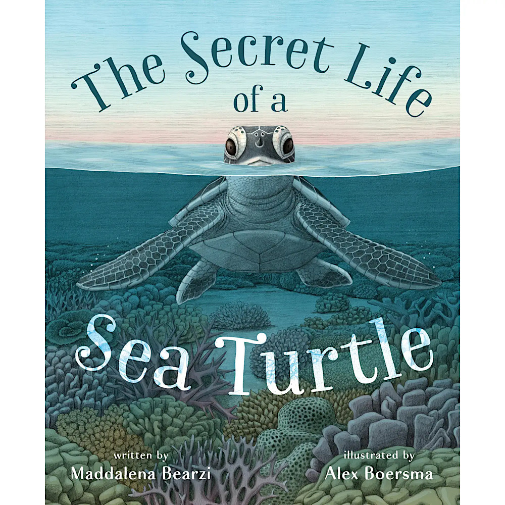 Macmillan Secret Life of A Sea Turtle Hardcover Book