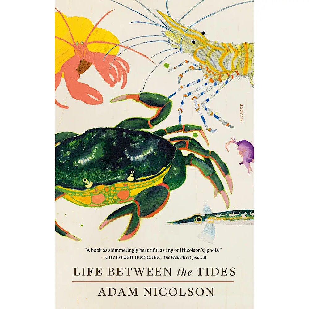 Macmillan Life Between the Tides Paperback Book