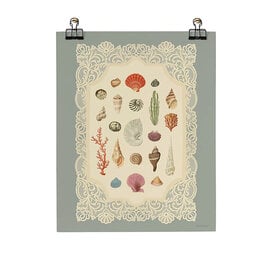 Roomytown Inc Roomytown Fine Art Print - 11 x 14 - Specimens of the Sea