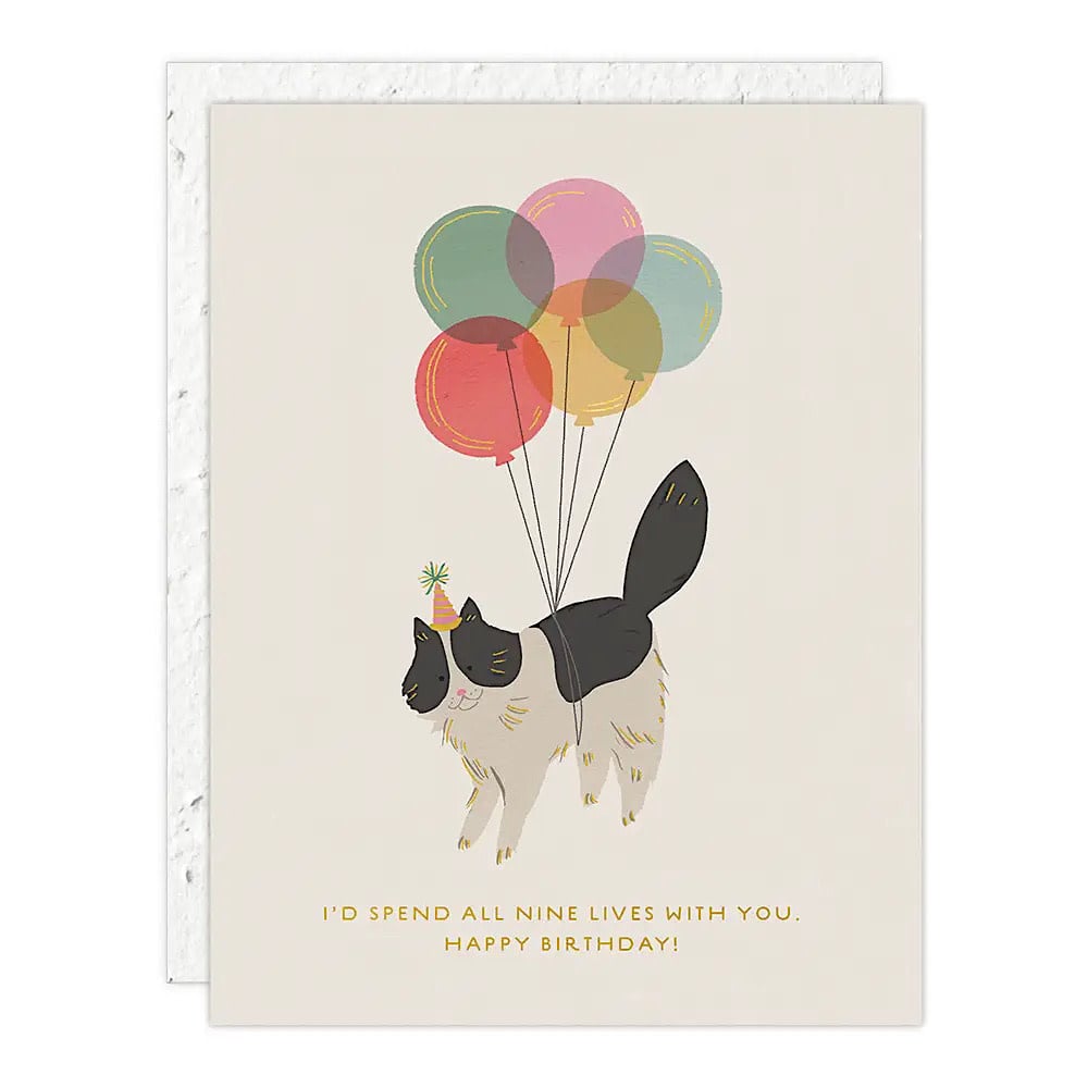 Seedlings Seedlings - Birthday Kitty Card