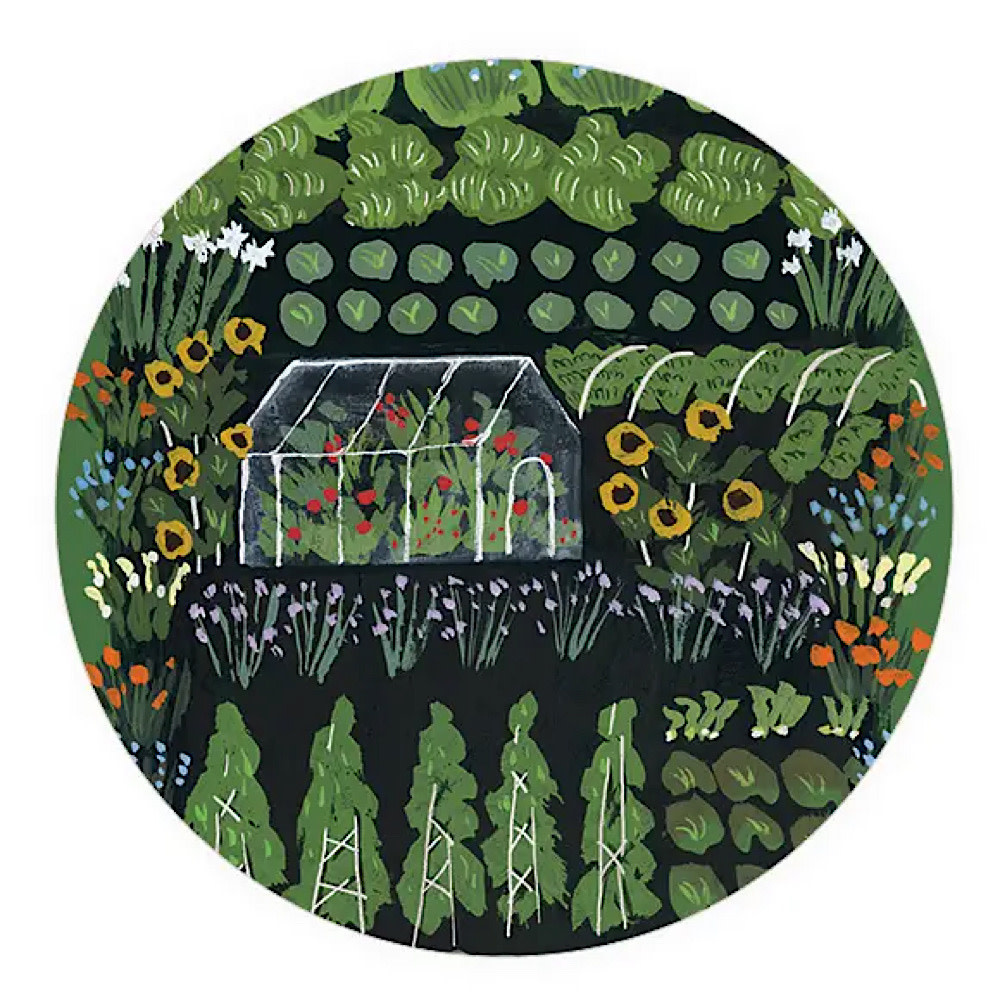 Seedlings Seedlings Coaster - Garden Greenhouse