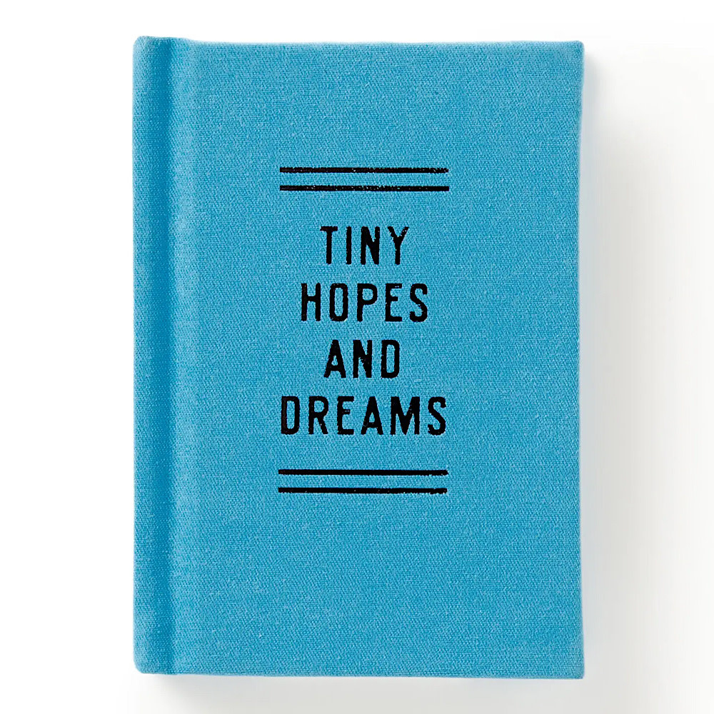 Chronicle Tiny Hopes and Dreams Tiny Diary