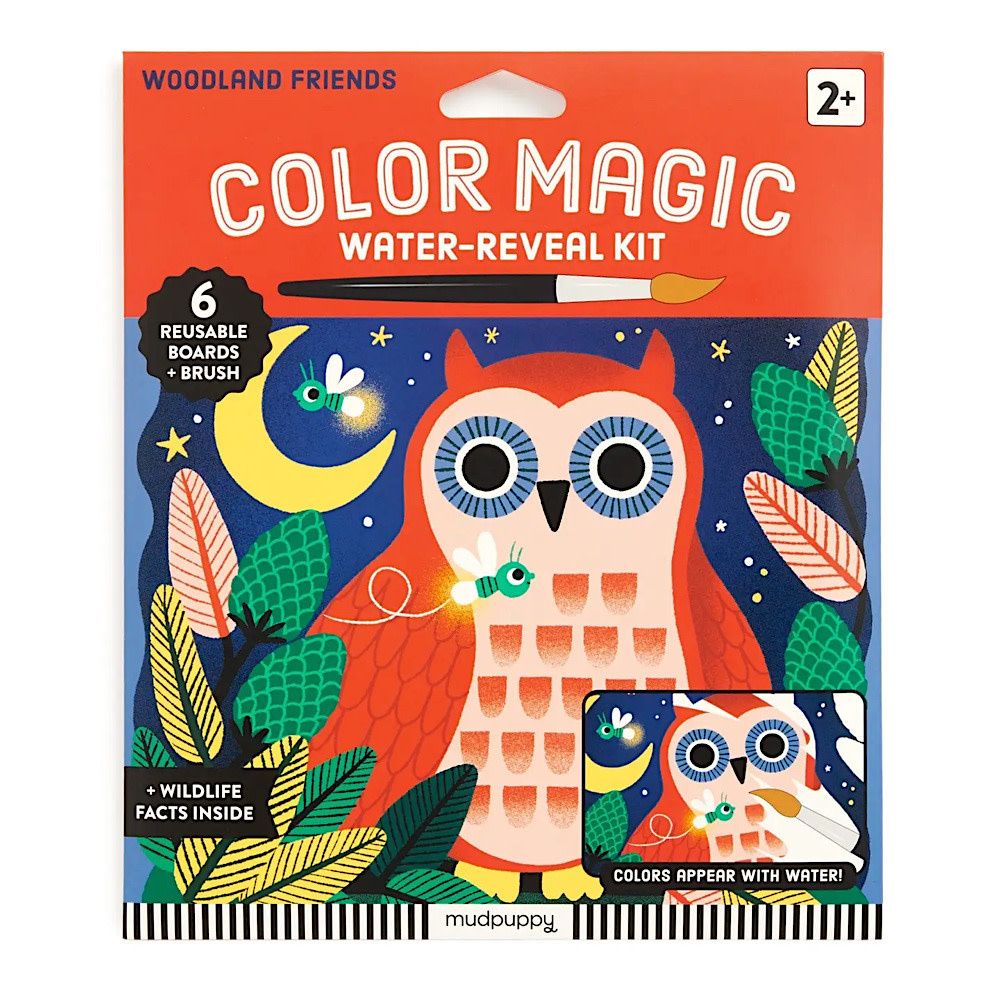 Color Magic Water-Reveal Kit - Woodland Friends