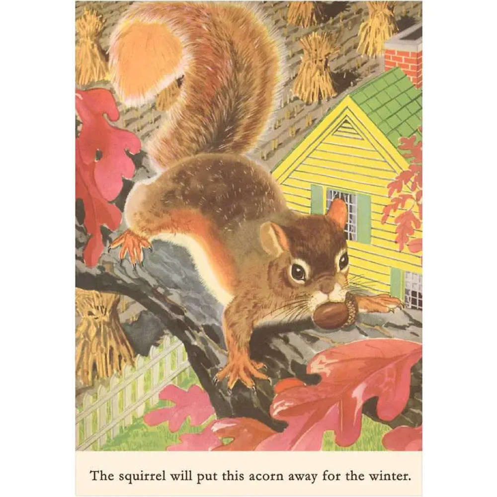  Postcard KF-211 - Squirrel with Acorn