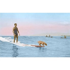  Postcard SU-40 - Surfing Dog
