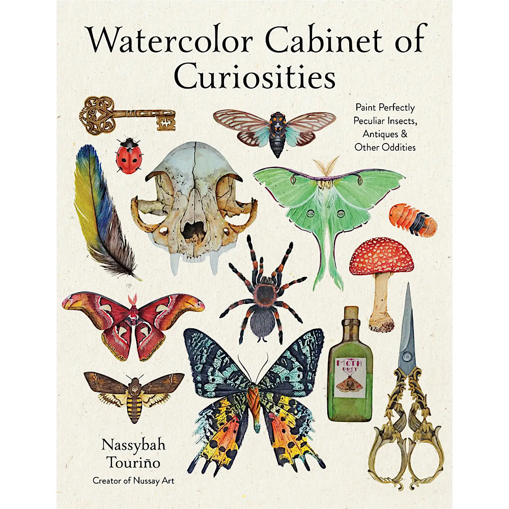 Macmillan Watercolor Cabinet of Curiosities Paperback Book