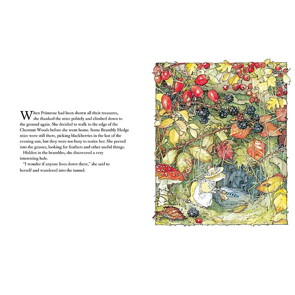Autumn Story Hardcover Book