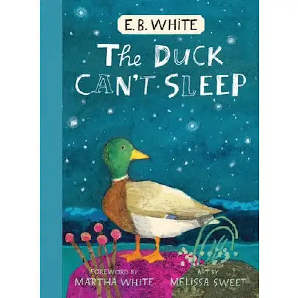 The Duck Can't Sleep Hardcover Book