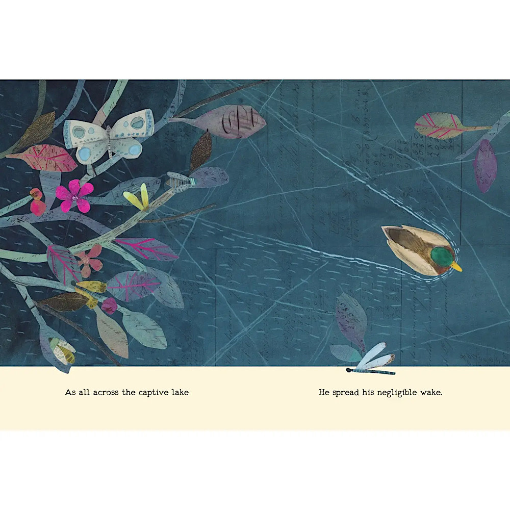 The Duck Can't Sleep Hardcover Book