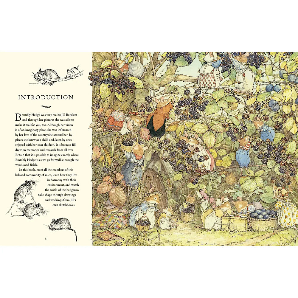 A Visit To Brambly Hedge Hardcover Book
