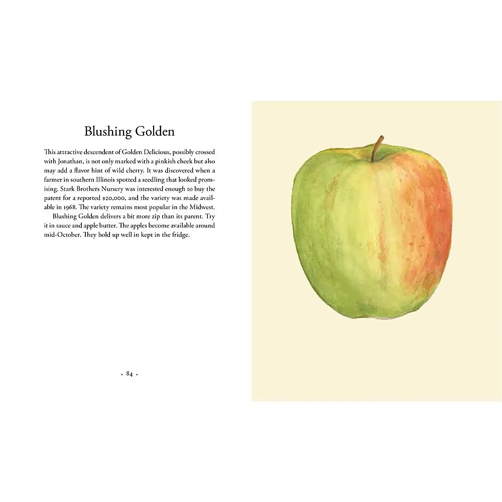 Apples Hardcover Book