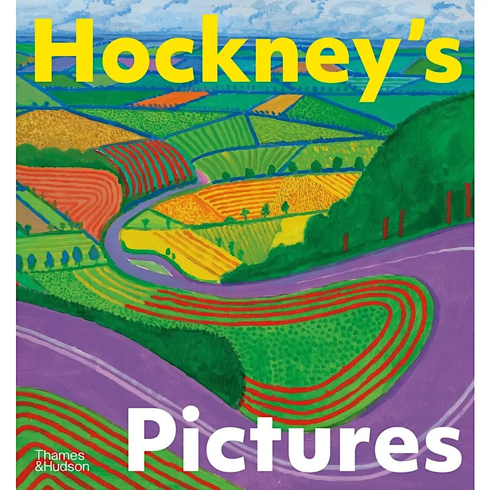 W W Norton Hockney's Pictures Paperback Book