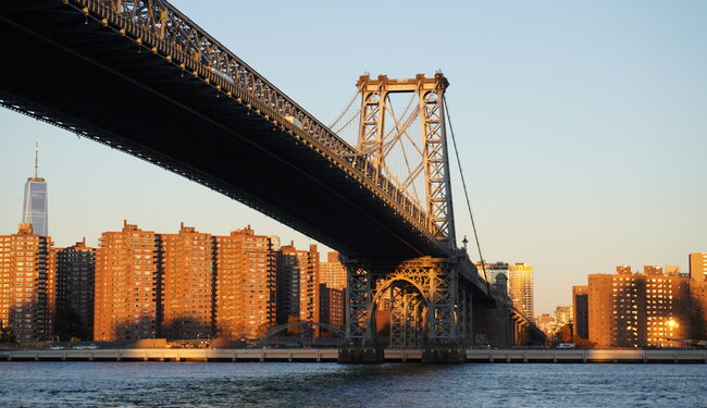 Running Free Through New York City