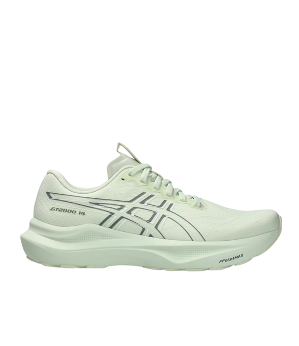 Asics W GT-2000 V14