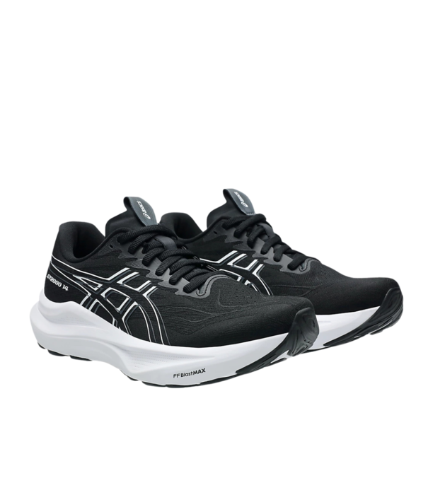 Asics M GT-2000 V14